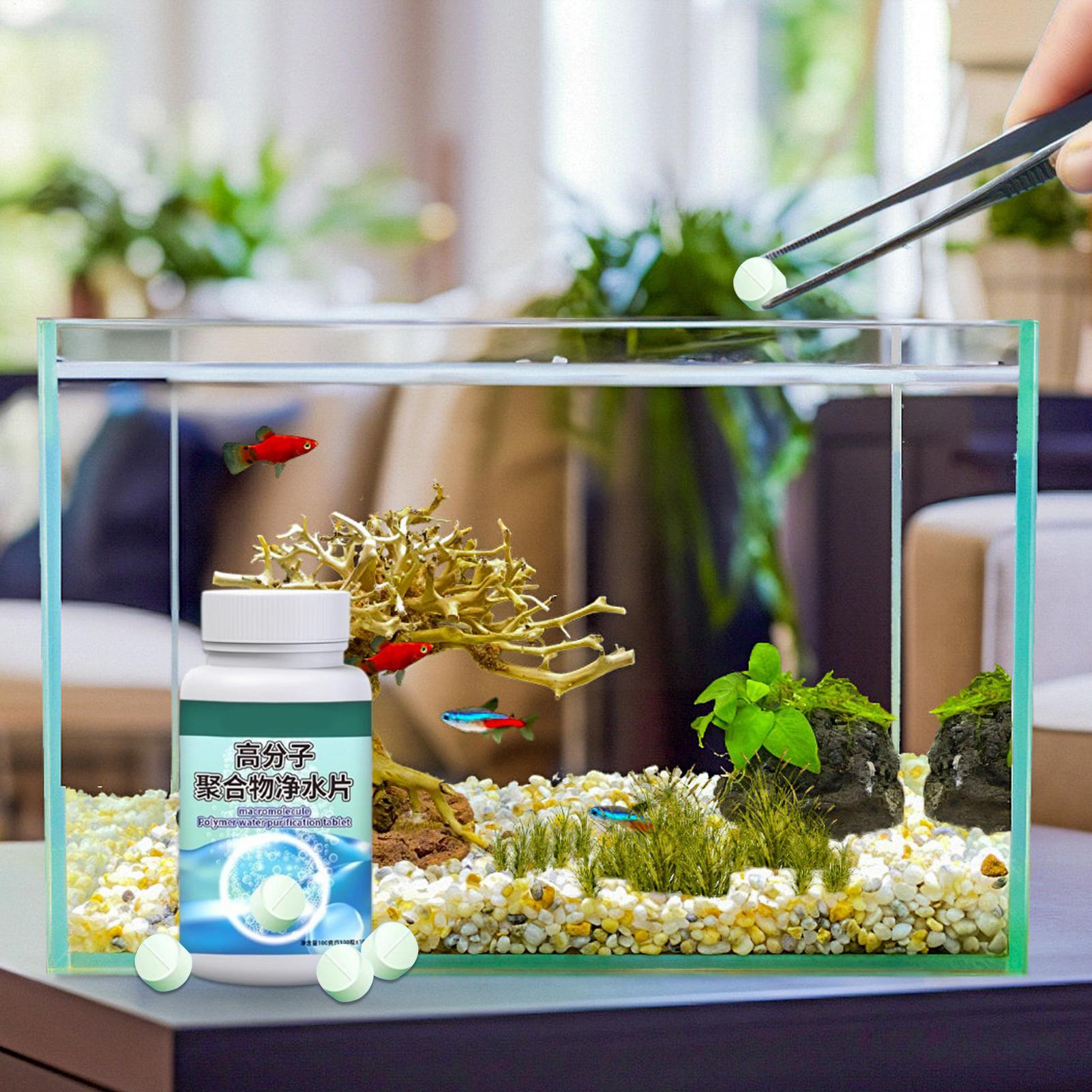 Removedor de algas para peces, - Betta Fish Tank reseña y precio