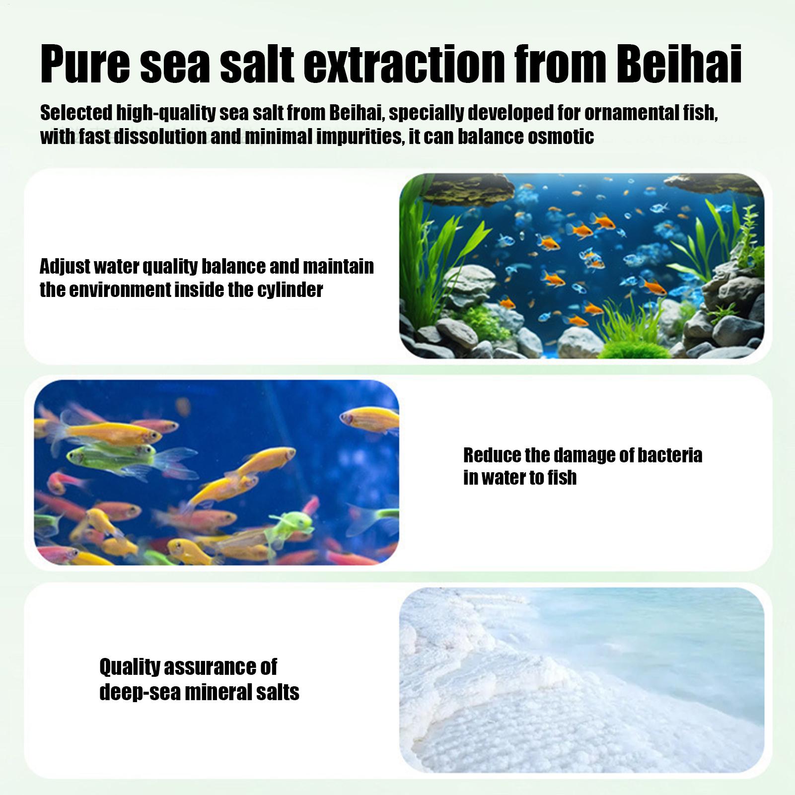 Removedor de algas para peces, - Betta Fish Tank reseña y precio