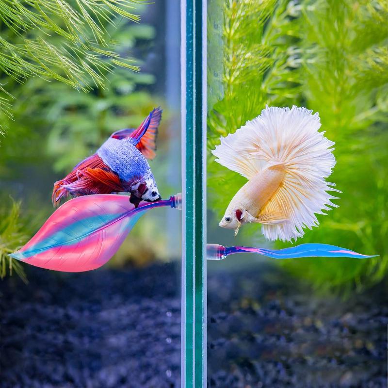 1 unidad de hamaca de silicona - Aquarium Fish Betta reseña y precio