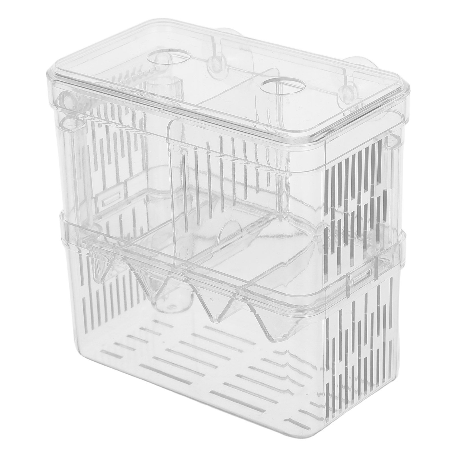 Caja de cría y aislamiento par - Betta Fish Tank reseña y precio
