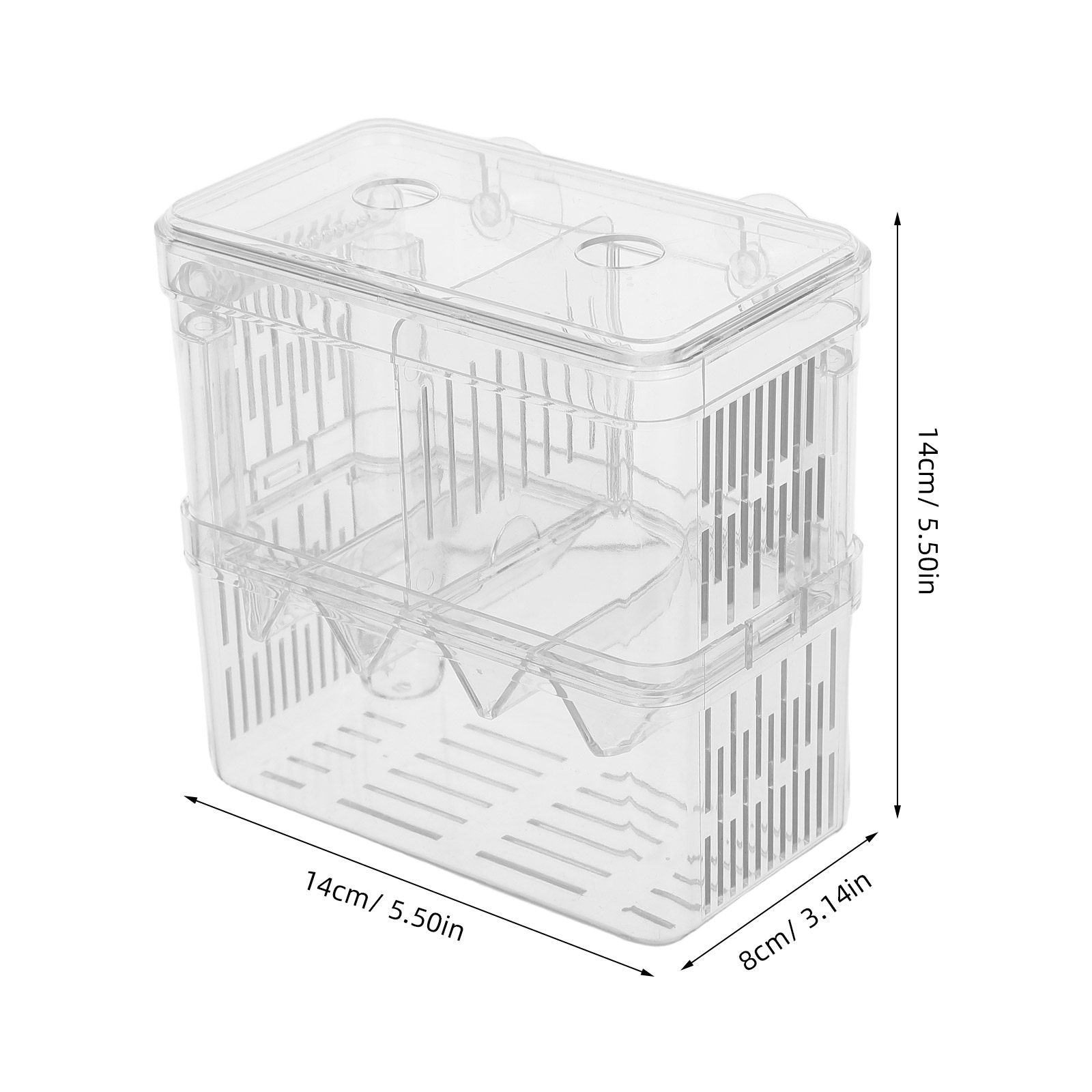 Caja de cría y aislamiento par - Betta Fish Tank reseña y precio