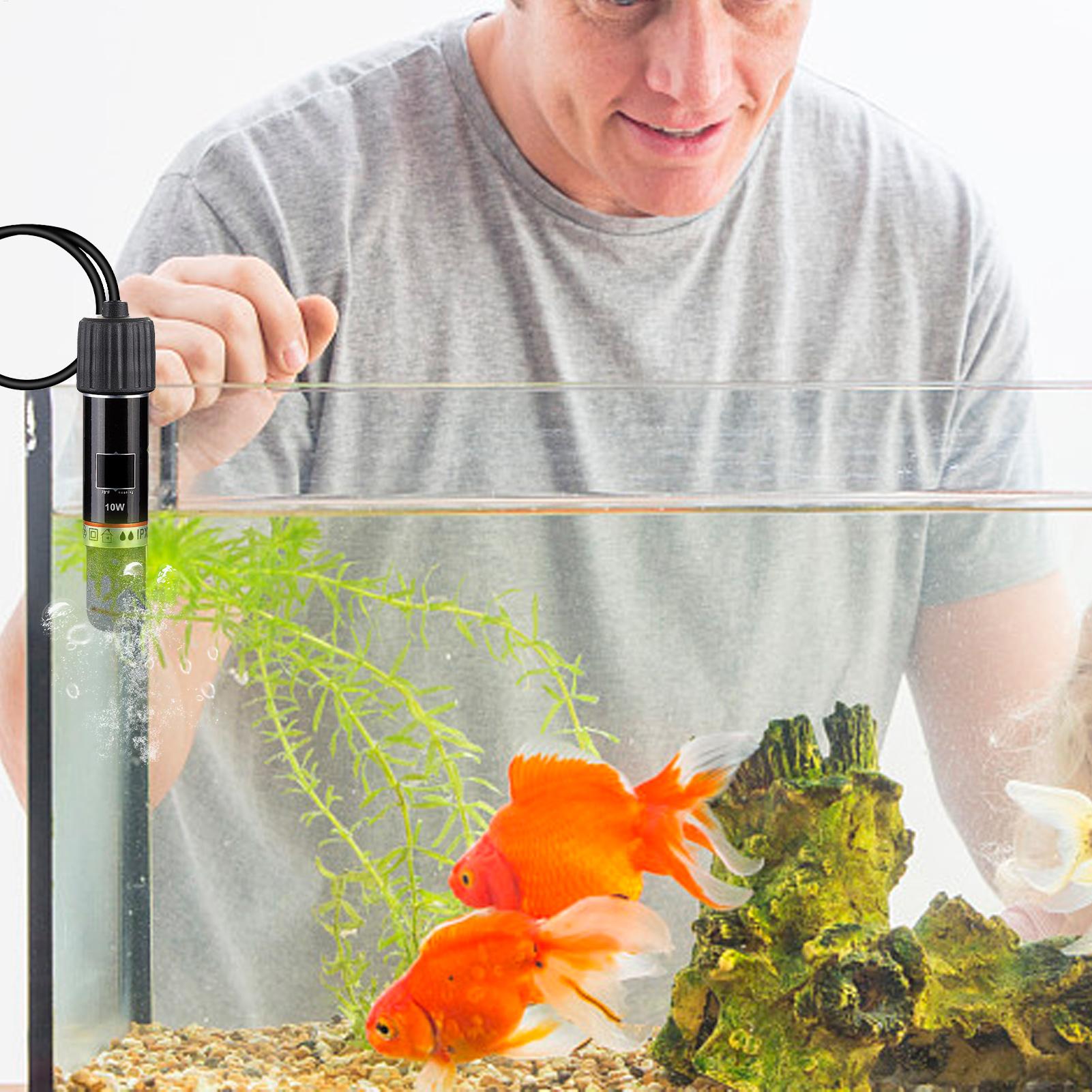 Calentador para acuarios de 10 - Fish Tank Heater reseña y precio
