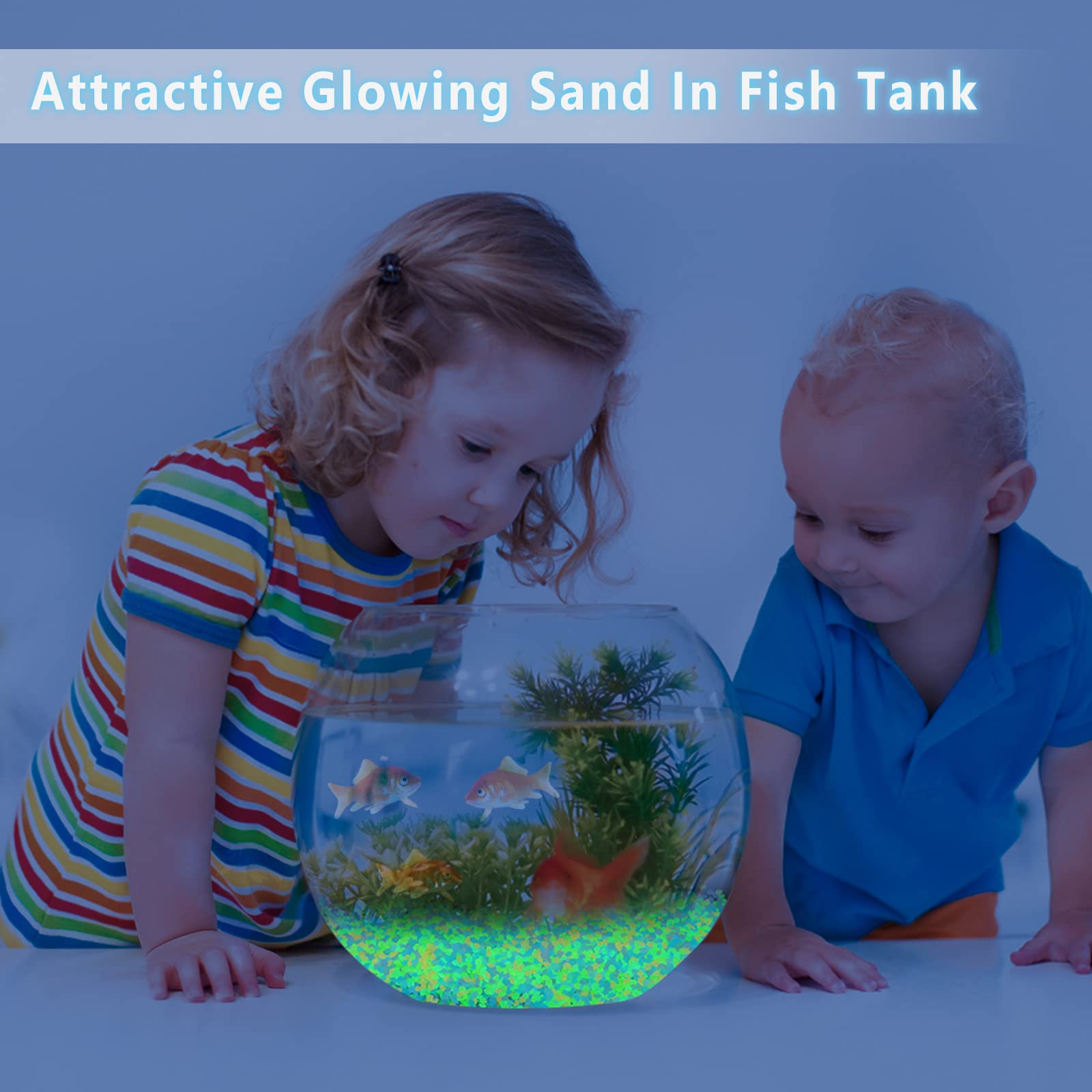1000 Uds. Arena luminosa que b - Fish Aquarium Home reseña y precio