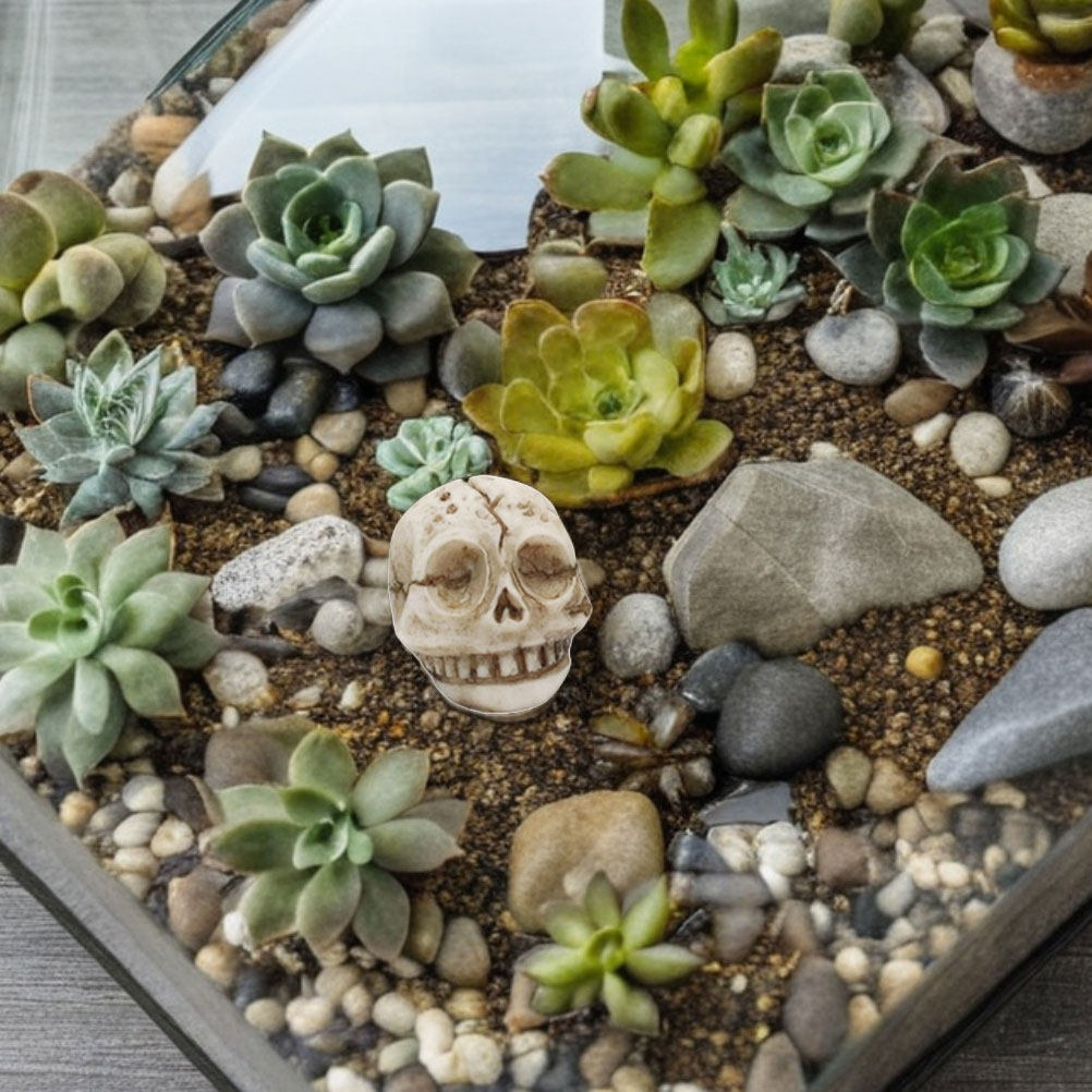 20 unidades de calaveras sonri - Aquarium Decor reseña y precio