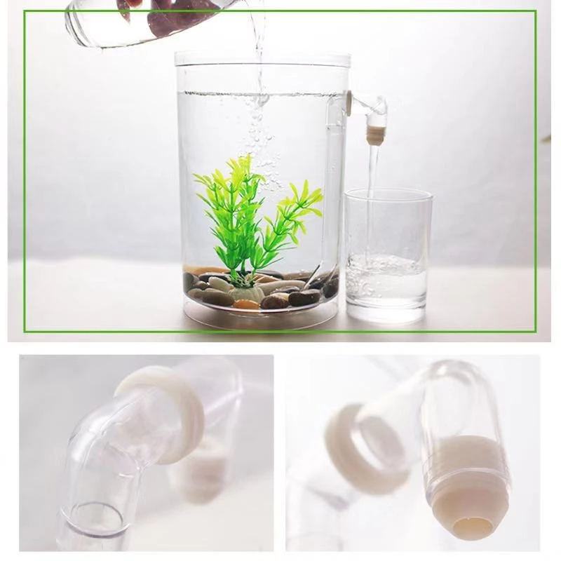 Tanque de peces de escritorio  - Betta Fish Tank reseña y precio