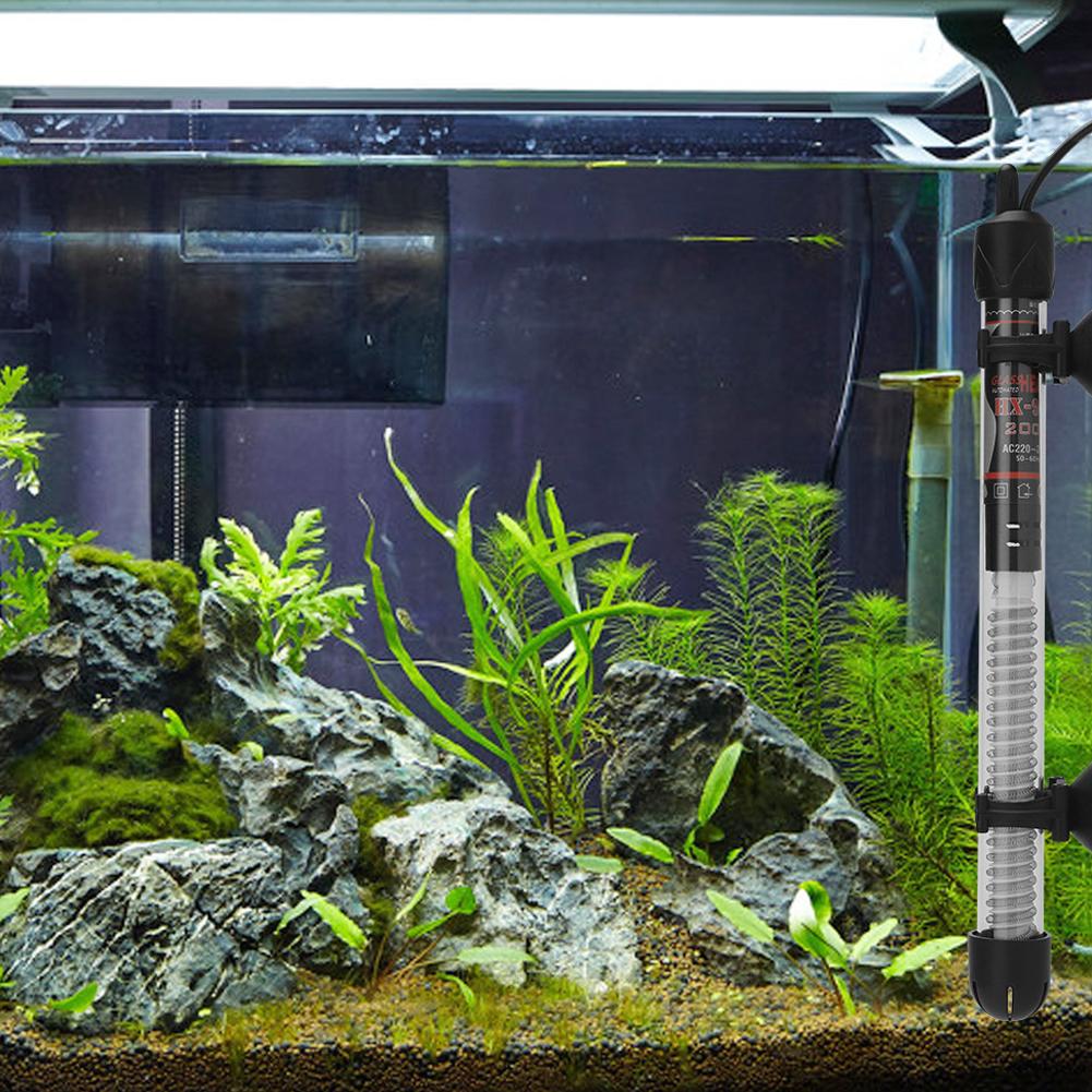 Calentador de acuario UE 25W/5 - Fish Tank Heater reseña y precio